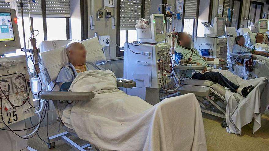 Pacientes en hemodiálisis del hospital Lluís Alcanyís de Xàtiva, en una imagen de archivo. | PERALES IBORRA