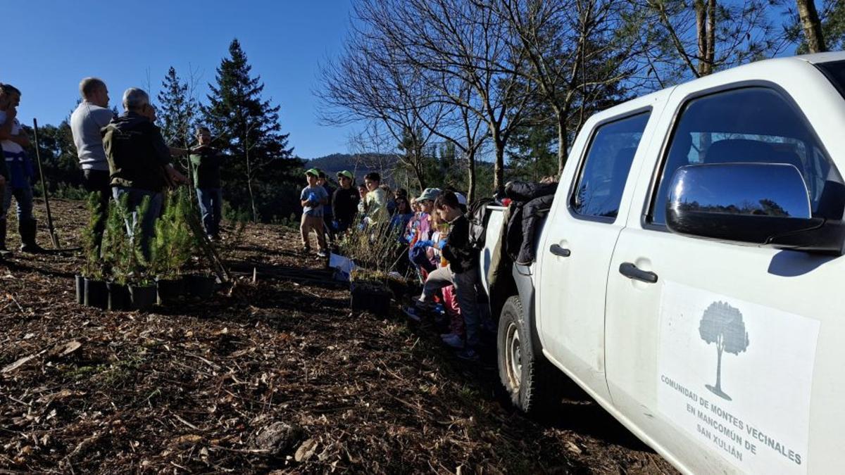 Jornada de reforestación en el Monte Pornedo | FDV