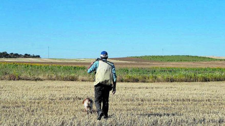 El club cinegético de Toro prohíbe cazar liebres y limita el cupo de perdiz en tres cotos