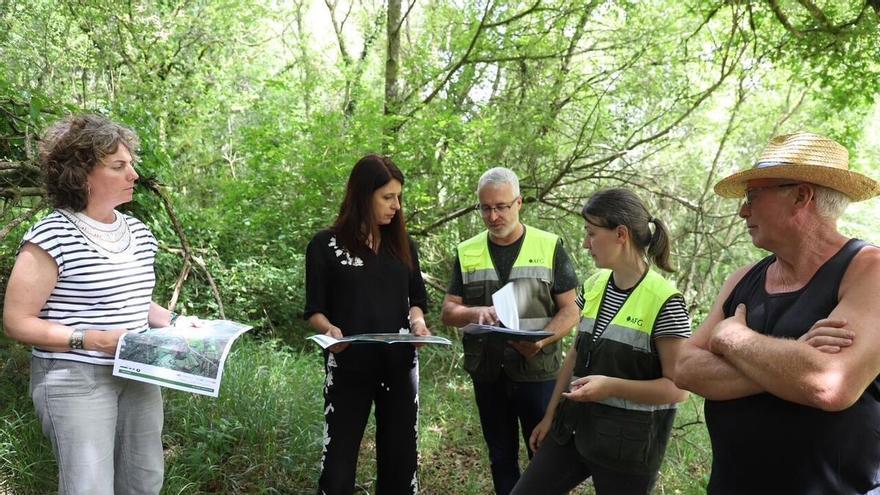 El caos en la propiedad y la desconfianza frenan las agrupaciones forestales en Galicia