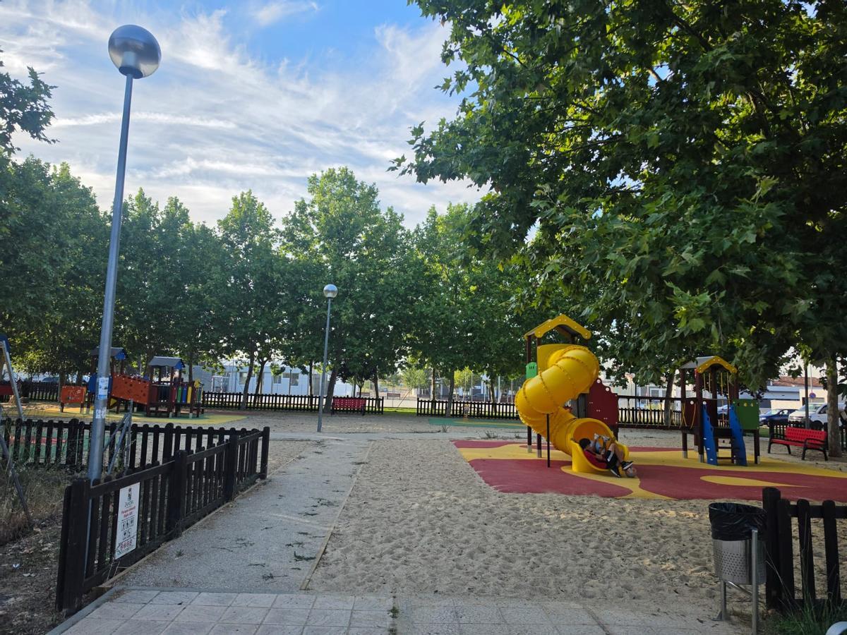Parques y jardines del barrio siglo XXI llenos de maleza y sin mantenimiento.
