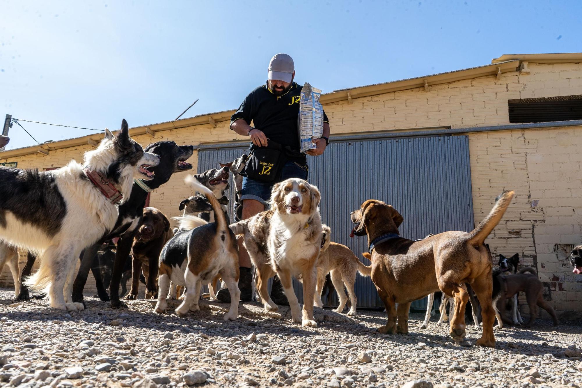 Residències canines: Centre Caní Jonatan Zafra, a Sant Fruitós de Bages