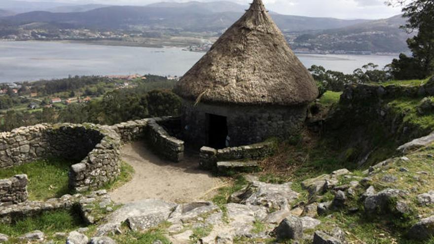 Castor de Santa Trega. // Turgalicia