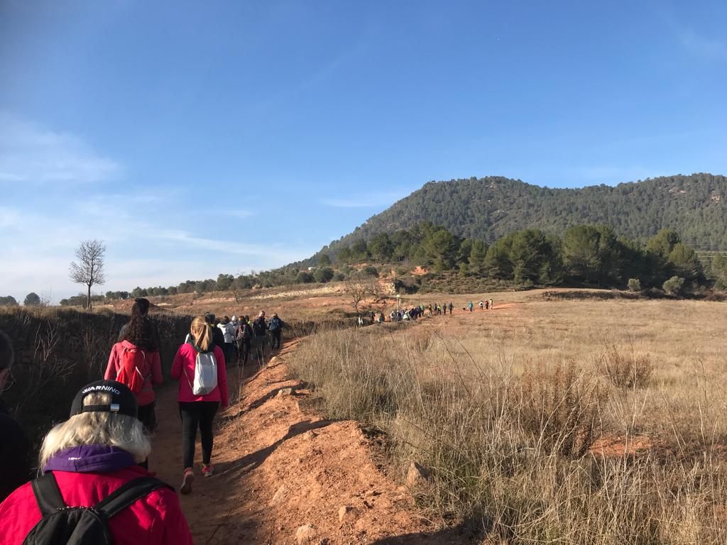 Caminada reivindicativa a l'entorn de Collbaix