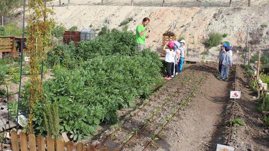 Escuela en la huerta