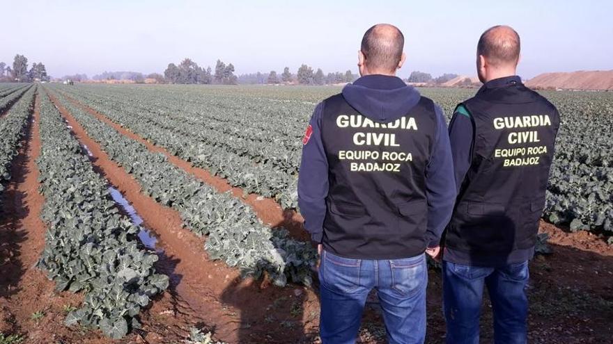 Dos detenidos por robos con intimidación en fincas de varios municipios de Badajoz