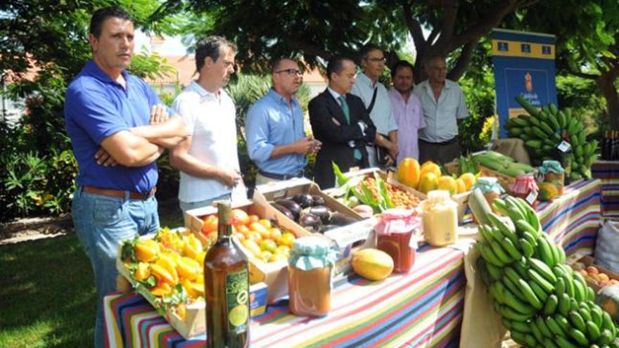 Ofrenda del Cabildo. José Miguel Álamo y Larry Álvarez presentaron la   ofrenda del Cabildo a la Virgen del Pino en la 61 edición de la romería. Fernando Benítez se encarga de la carreta. En la foto, agricultores, consejeros y productos.