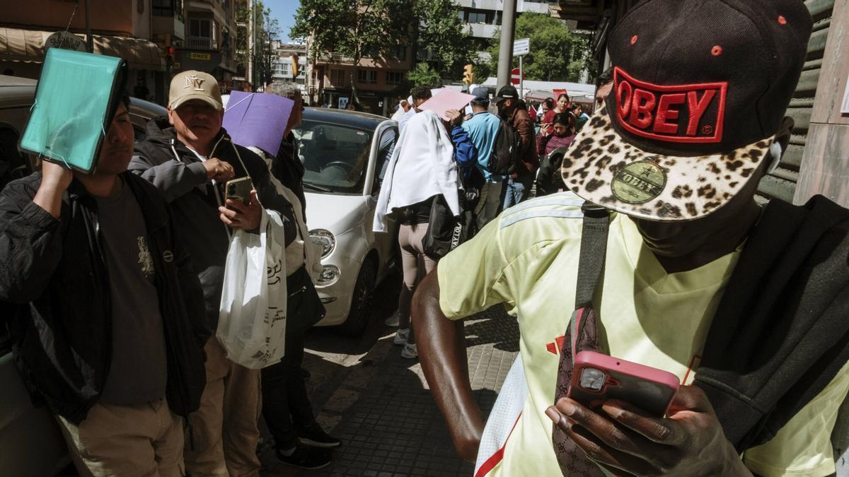 VÍDEO | Tensión por la regularización en Mallorca: peleas y largas colas en la oficina de Pere Garau