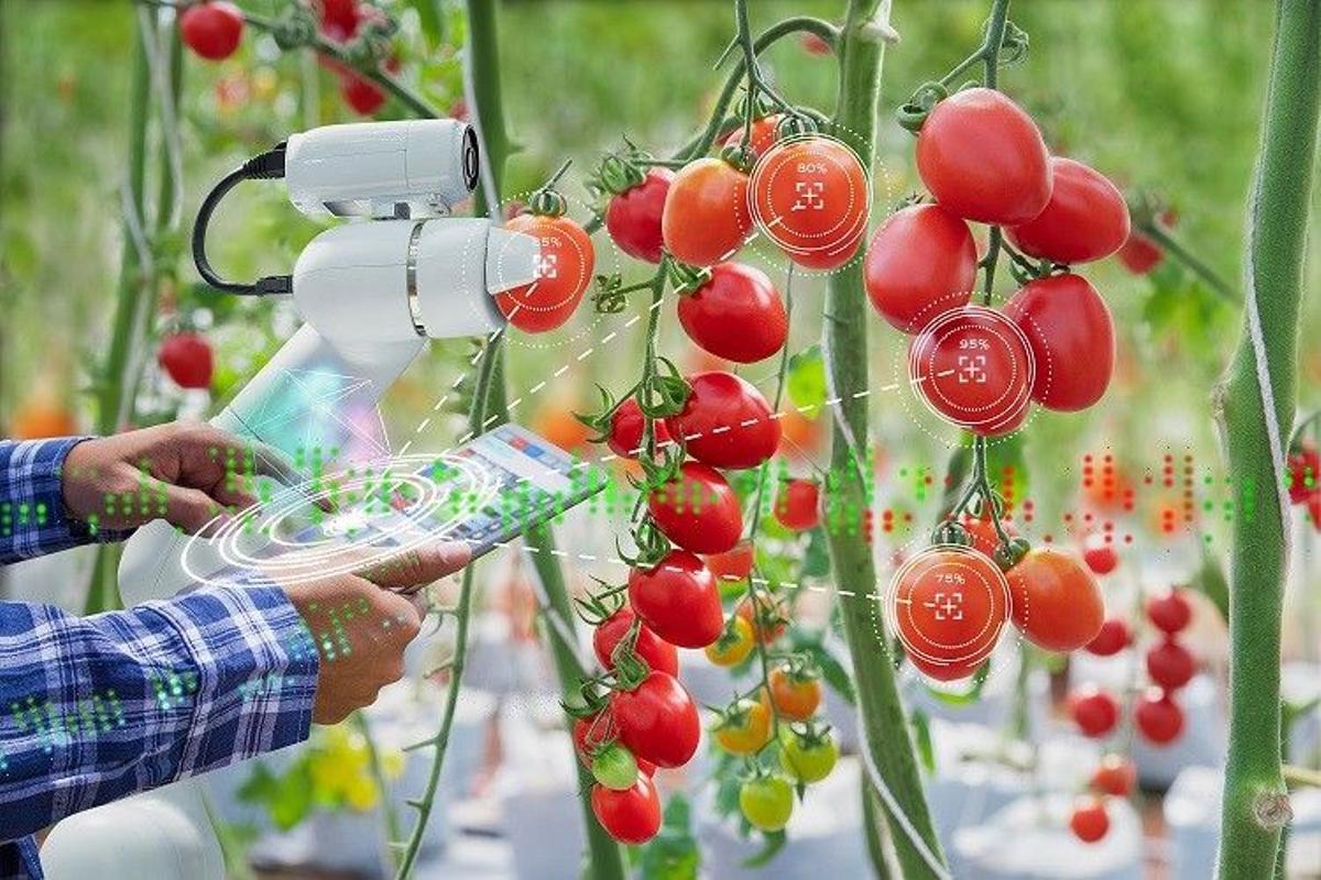 Investigación agraria