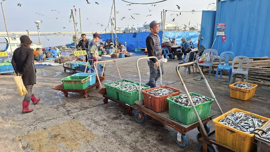 «Pedaladas contra el alzhéimer» hace frontera con Corea del Norte