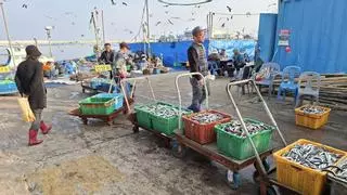 «Pedaladas contra el alzhéimer» hace frontera con Corea del Norte