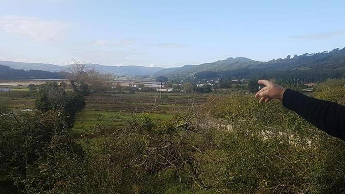 La zona afectada por la actuación.