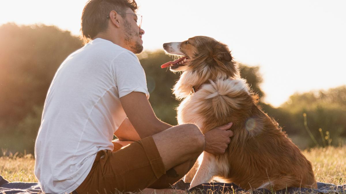 Estas son las maneras con las que tu perros te muestra su amor.