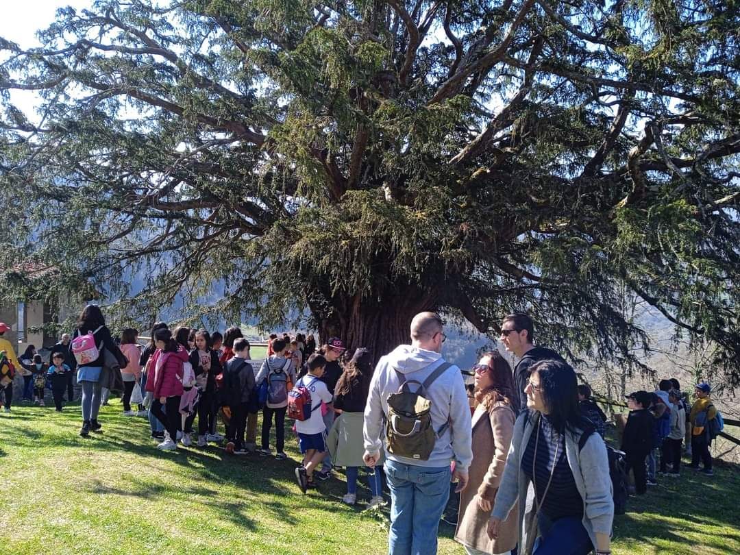 La comunidad reunida bajo el texu de Bermiego.