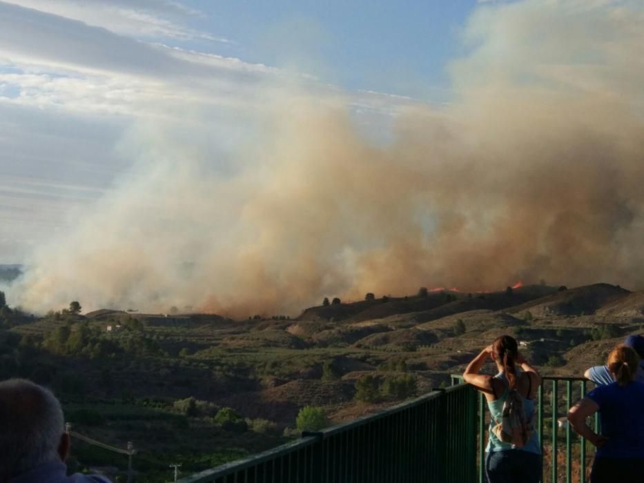 Incendio forestal en Bolbaite (Valencia)