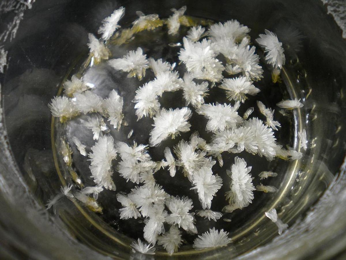 Cristales de dimetiltriptamina, un psicodélico, en una imagen de archivo.