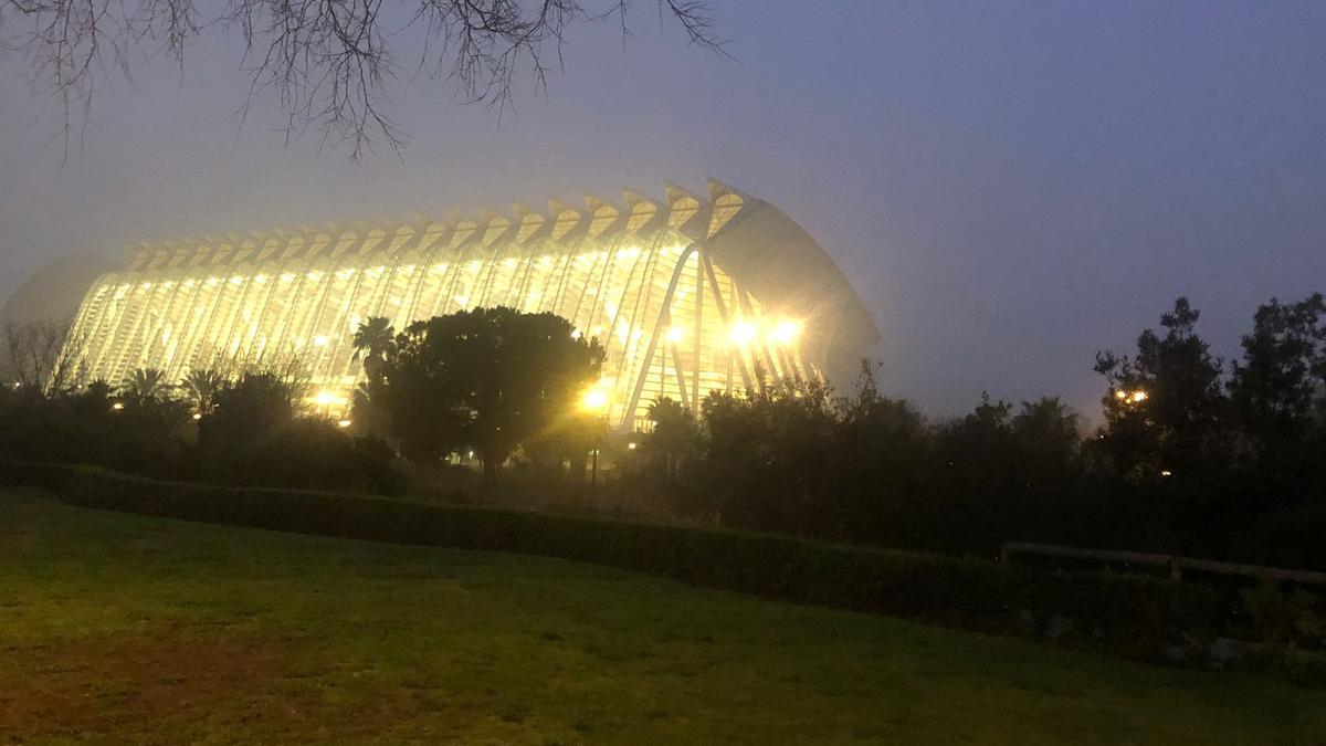 Niebla en València, en la Ciudad de las Artes y las Ciencias, en la mañana de hoy viernes.