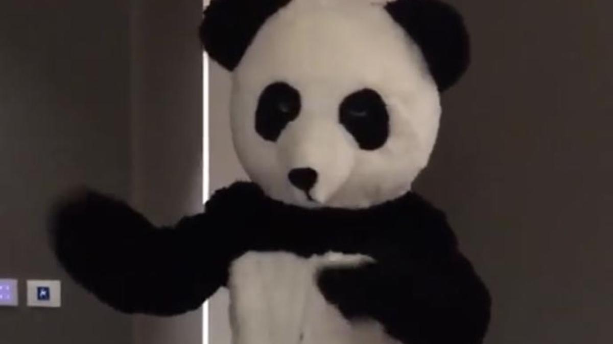 Evra se disfrazó de oso panda por una buena causa