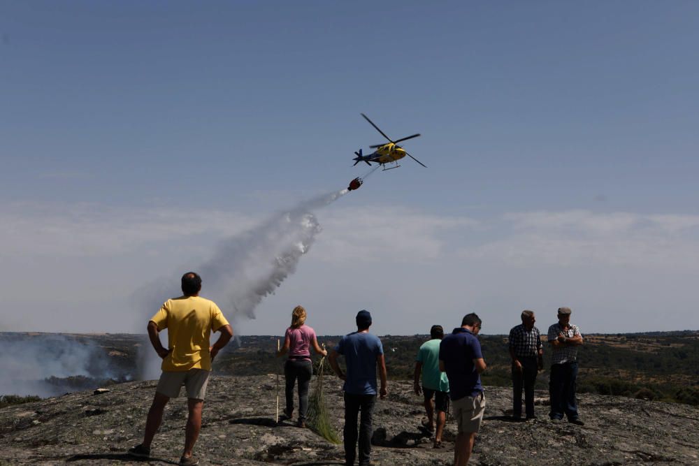 Incendio Pino del Oro y Castro de Alcañices