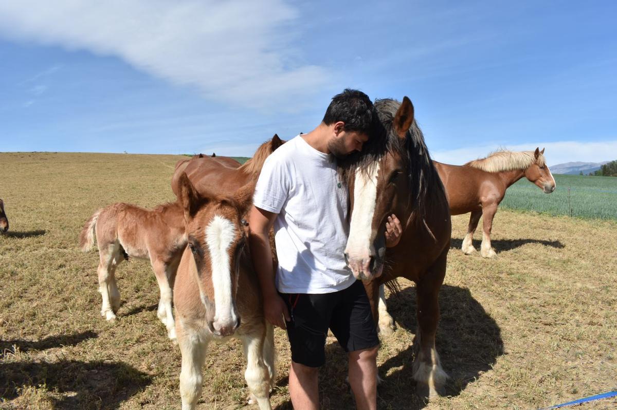 Francesc Pich, de 23 anys, amb alguns cavalls de la granja familiar de Das.