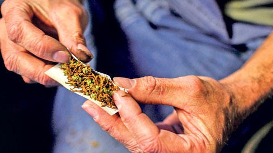 La marihuana es la droga ilegal más consumida por los jóvenes de Pollença.