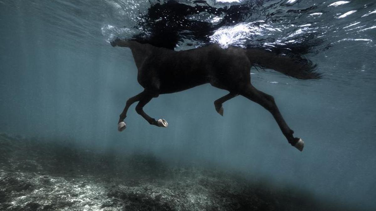 Fotografía de la serie 'Somos agua', de 2021.