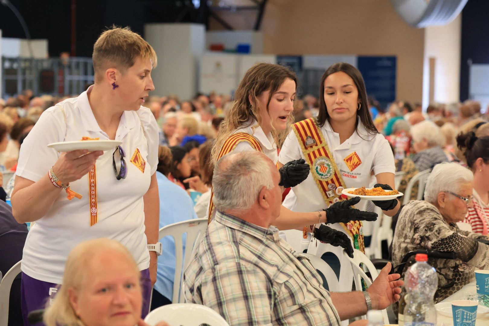 FOTOGALERÍA I Las imágenes de la sexta jornada (miércoles) de las fiestas patronales de Sant Pasqual en Vila-real
