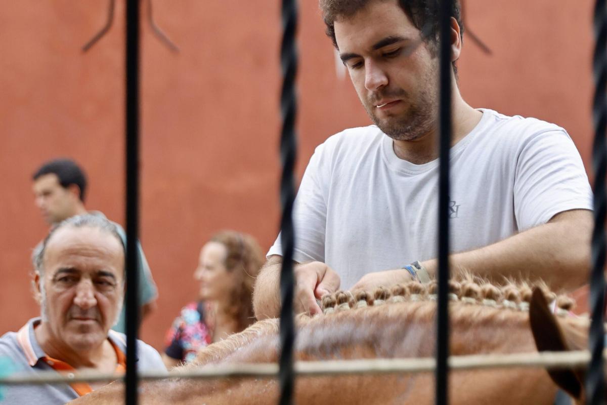 El Bibio, reportaje con los caballos de rejones. Cómo los preparan para la corrida El Bibio, reportaje con los caballos de rejones. Cómo los preparan para la corrida