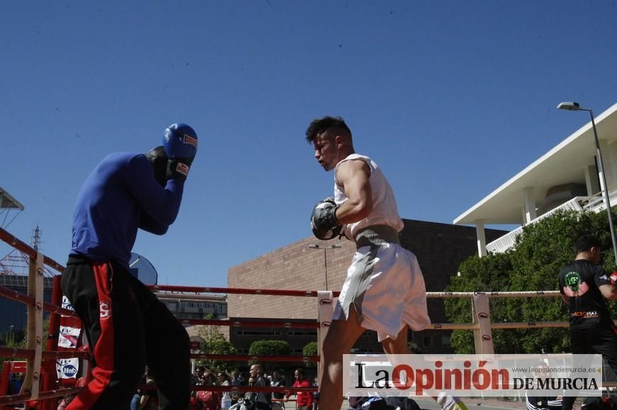 Fiesta del Deporte de Murcia (domingo)