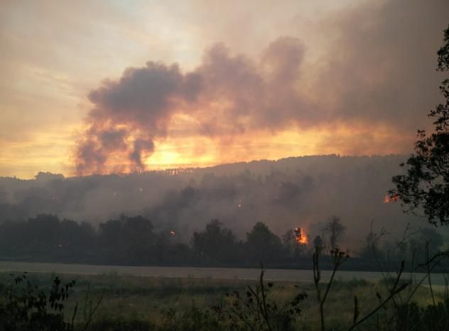 Incendi forestal a Vilopriu