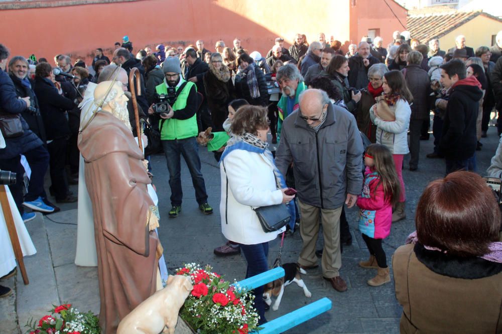 Fira de Sant Antoni d'Anglès