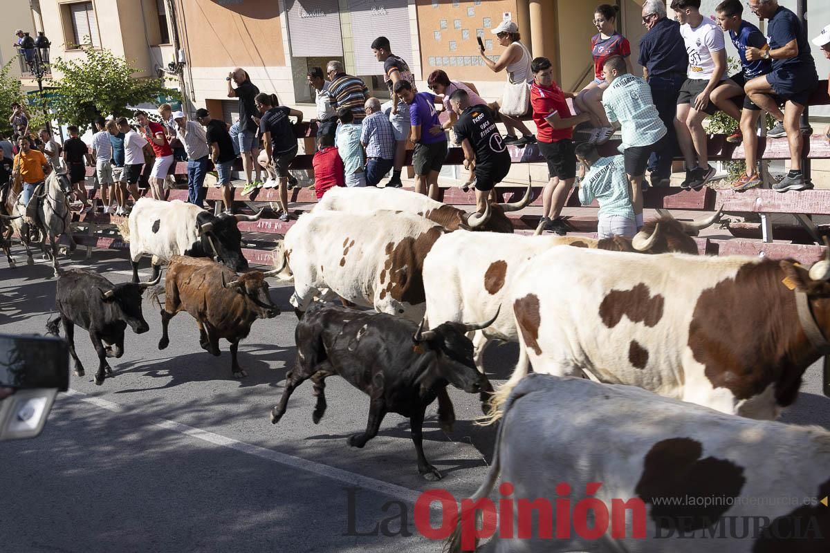 Séptimo encierro de las Fiestas de Moratalla