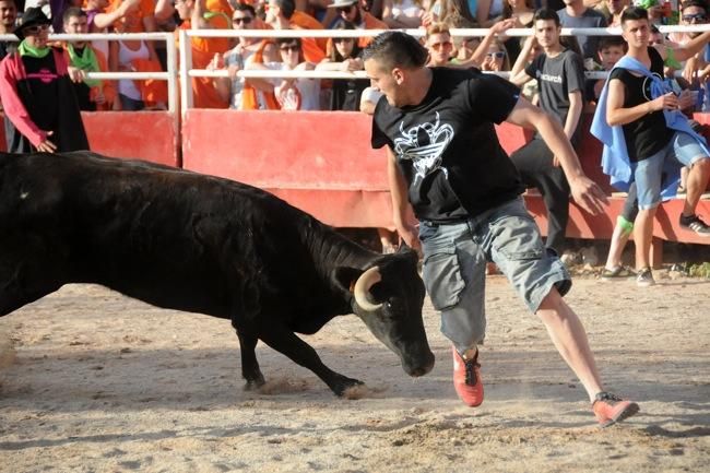 Les vaquetes de la festa major de Santpedor