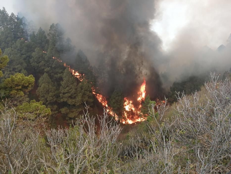 Imágenes del incendio de La Palma