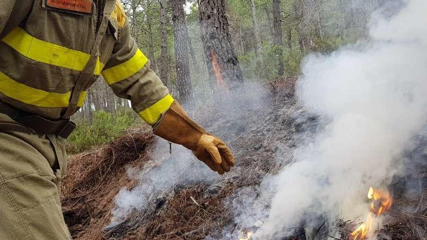 Los agentes proceden a sofocar el incendio en el pinar de Villarino Tras la Sierra.