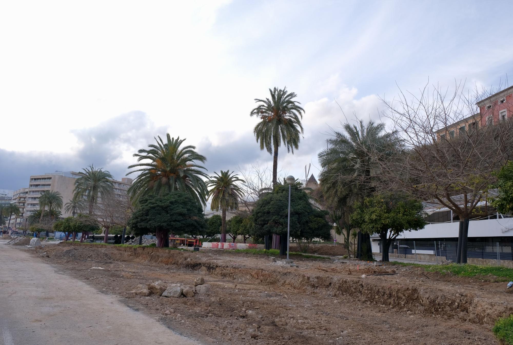 Las fotos de la evolución de obras del Paseo Marítimo de Palma después de tres meses de trabajos