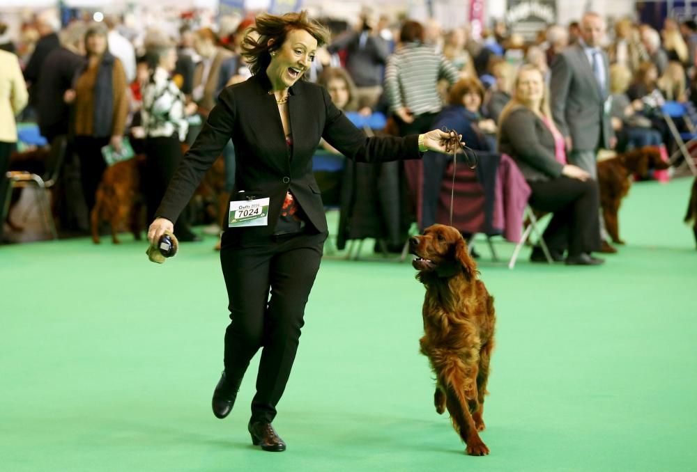 Les imatges més divertides del Crufts Dog Show