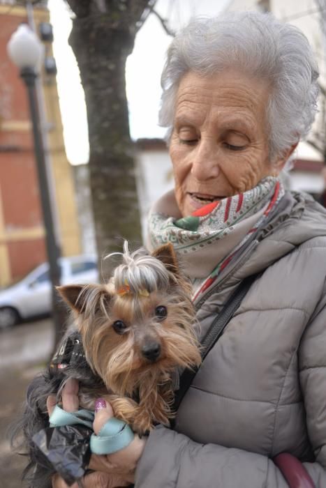 Bendición de mascotas en La Magdalena.