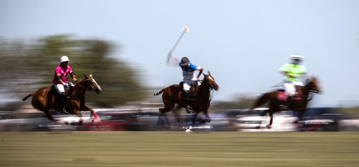 Y ahora campo de polo: la sumisión del PP a Vox