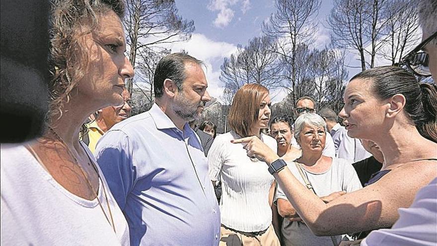 EL GOBIERNO estudia las ayudas por el fuego de Llutxent