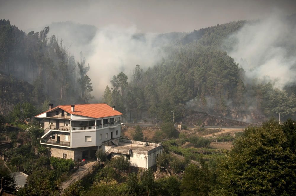 El fuego arrasa más de 3.000 hectáreas en Ourense