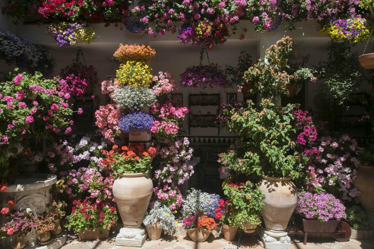 Fotogalería / Descubriendo los patios de la ruta Santa Marina-San Agustín