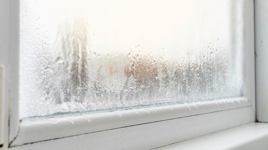 SECAR ROPA INVIERNO | El deshumidificador casero barato que elimina el moho  y la humedad del hogar este invierno