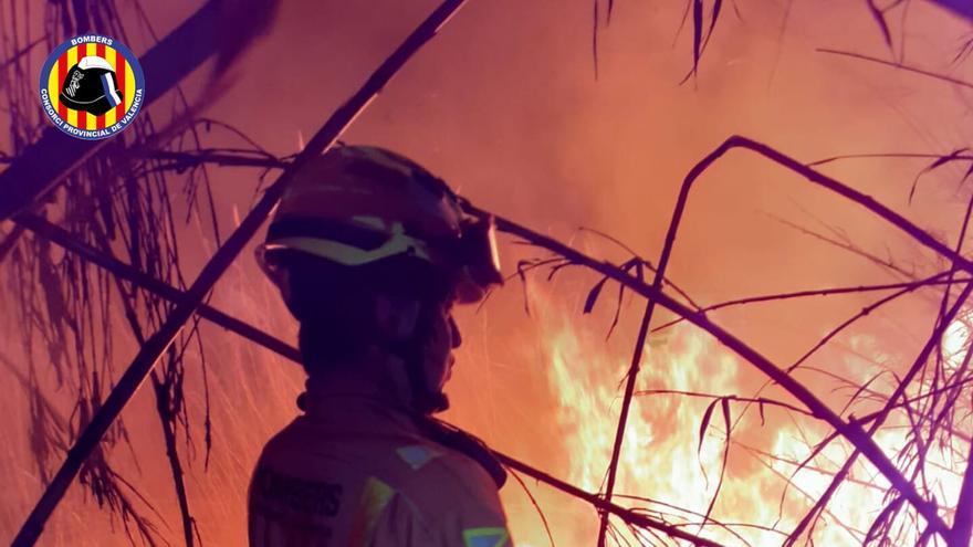 Incendio de madrugada junto al Magro en Alfarp