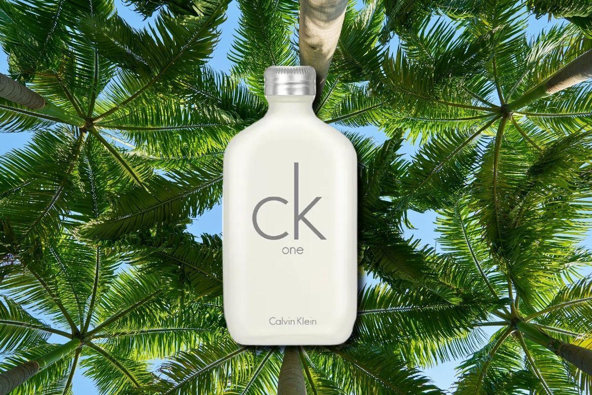 El perfume de Calvin Klein de 25 € en el que todos los hombres confían en verano