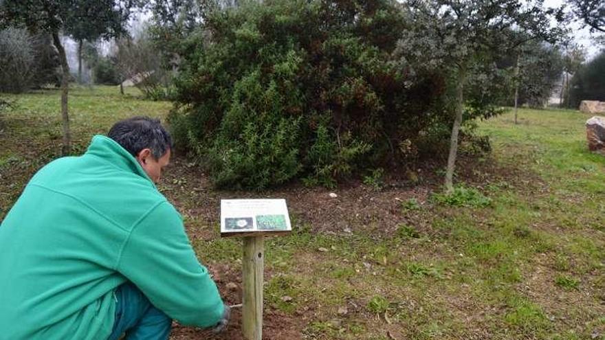 Instalación de carteles explicativos en el Prado de las Pavas.