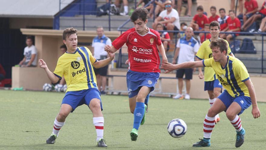 El fútbol sigue siendo el deporte que cuenta con más licencias federativas en Balears.