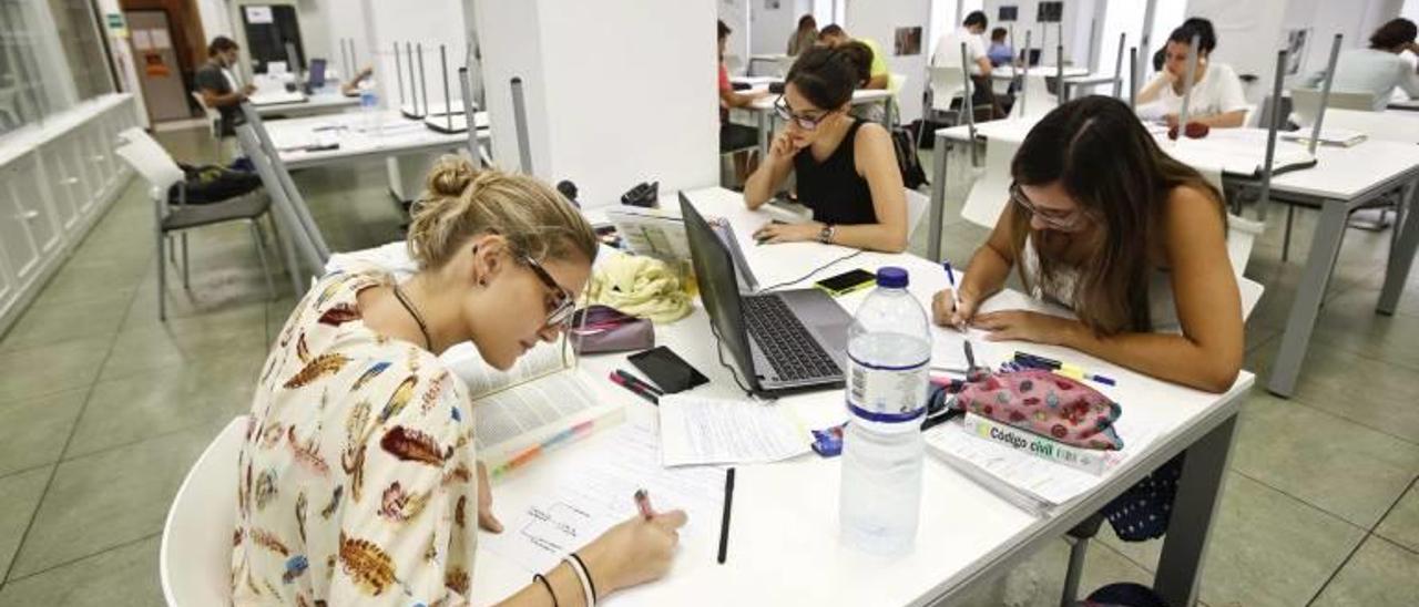 Jóvenes estudian en la biblioteca de la Universidad de Alicante, en imagen de archivo.