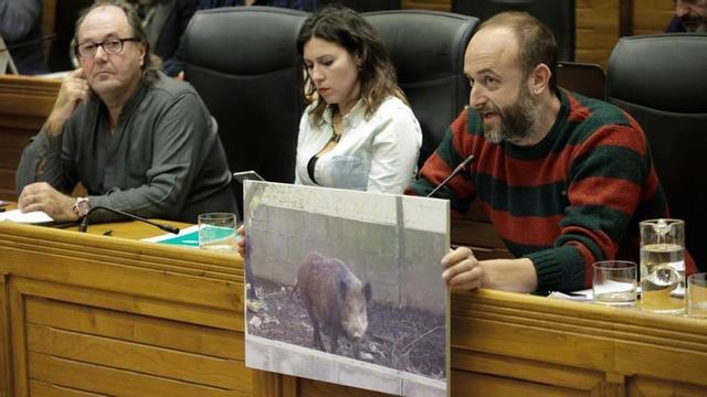 David Alonso muestra una foto de un jabalí en el salón de plenos.