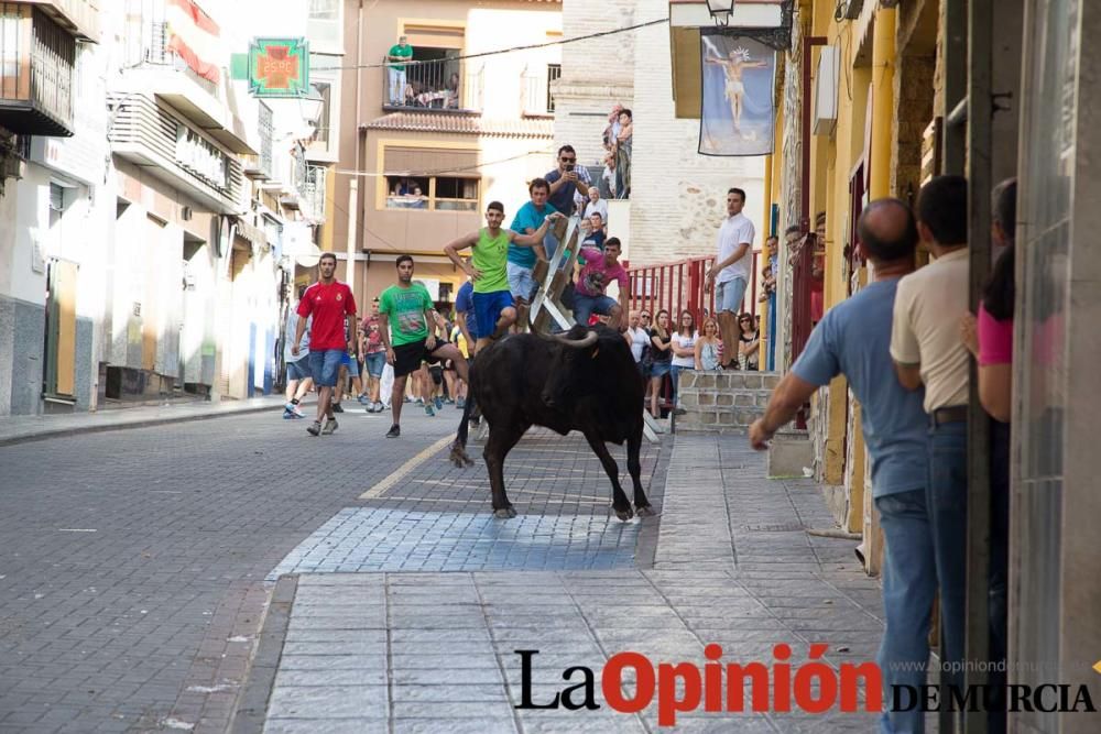 Primer encierro Moratalla